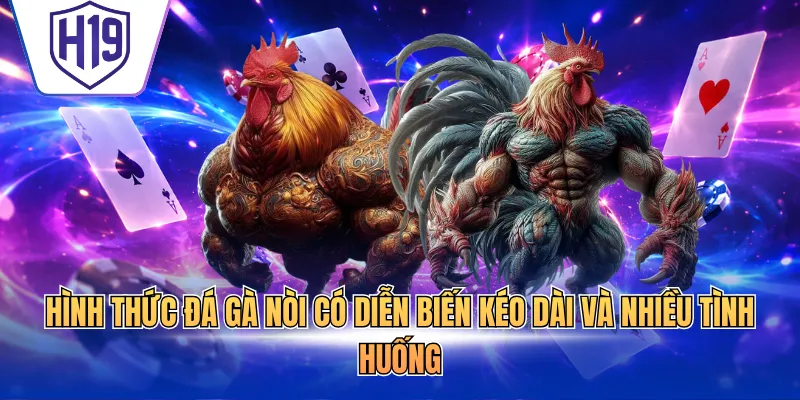 Hình thức đá gà nòi có diễn biến kéo dài và nhiều tình huống